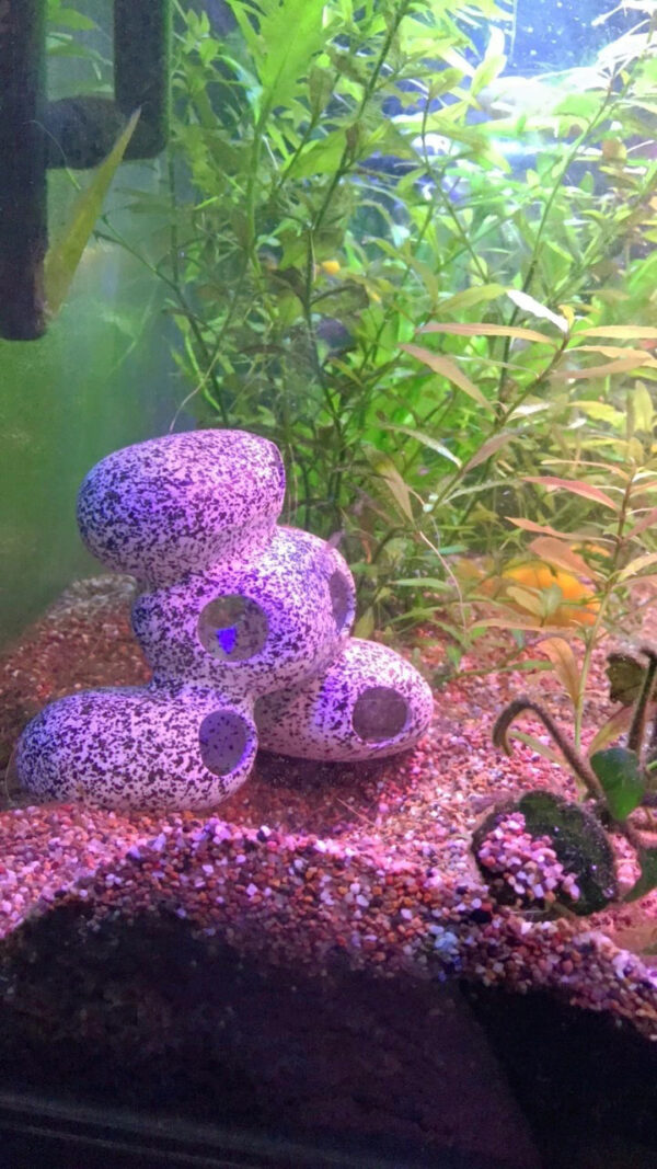 Fish Tank Stone View Decorative Landscaping Fish And Shrimp House Breeding - Image 3