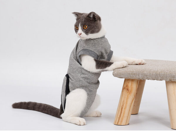 Pet Cat Recovery After Surgery Clothing Pet Wound Anti-mite Sterilization Suit pet products supplies &c - Image 2